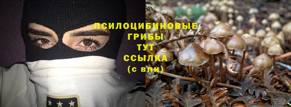 мет Горнозаводск