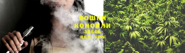 СК Вяземский