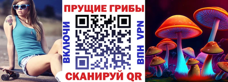закладки  МЕГА как зайти  Галлюциногенные грибы Psilocybine cubensis  Ермолино 