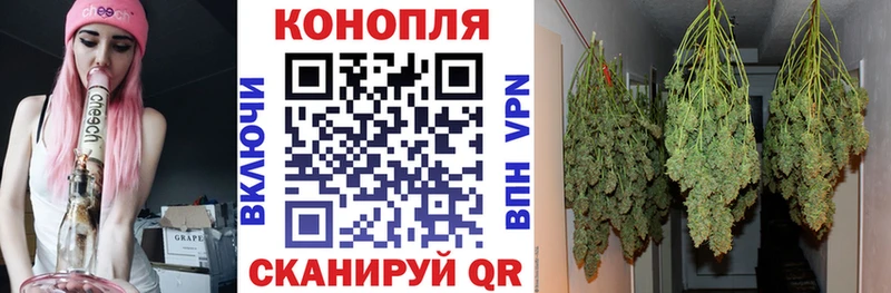 Канабис планчик  Ермолино 